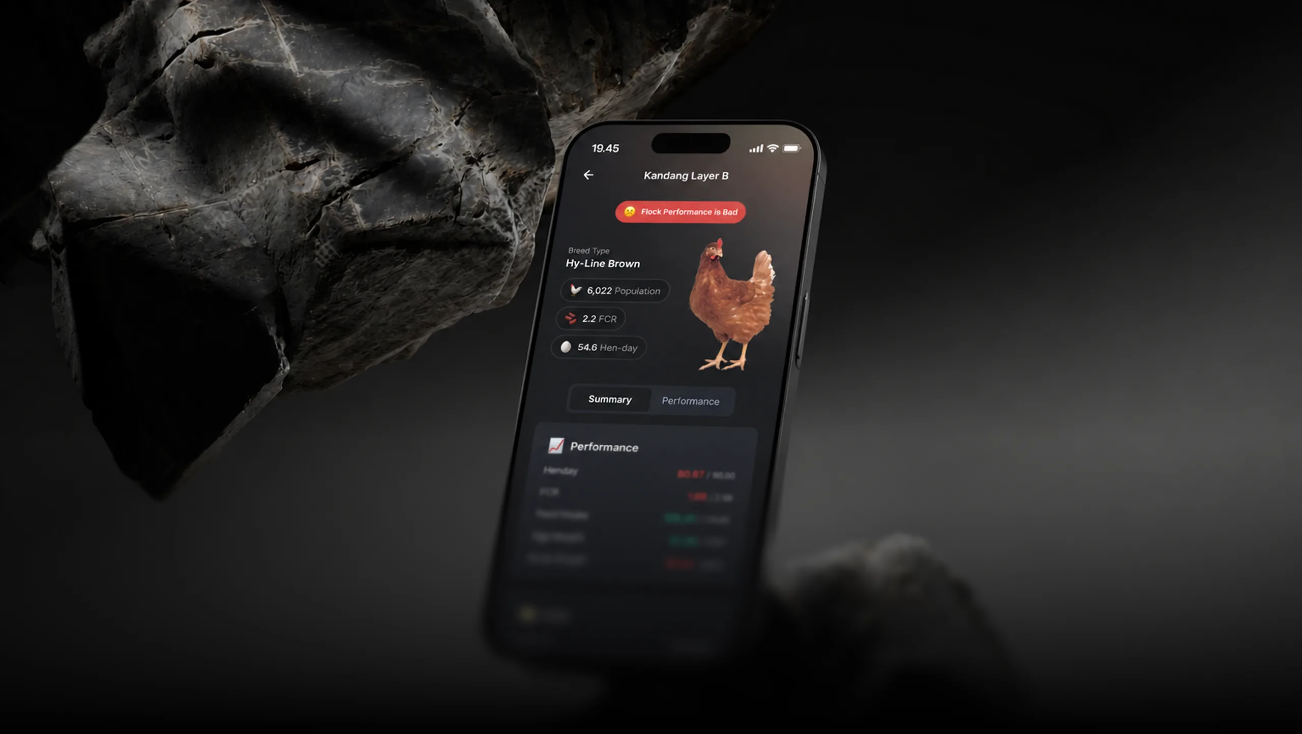 Layer Farm Manager